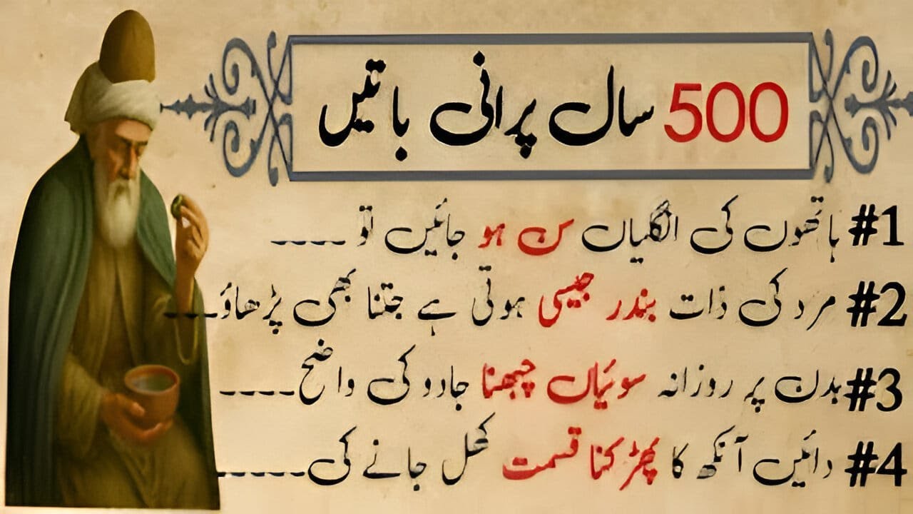 500 old hikmat ki batain | Hikmat Ki Batain In Urdu | Hikmat | ilm Ki Baten | Danai Ki Baten In Urdu