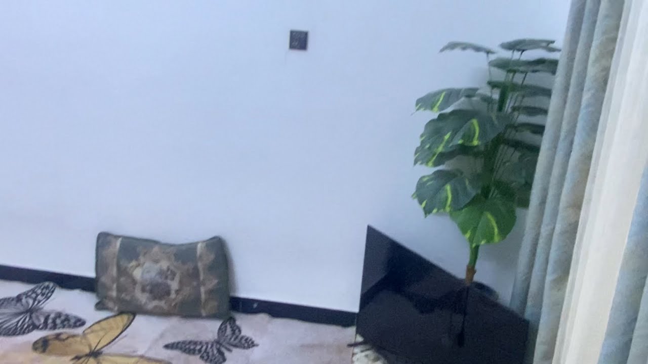 روتيني اليومي قبل الانتخابات ❤️🫂