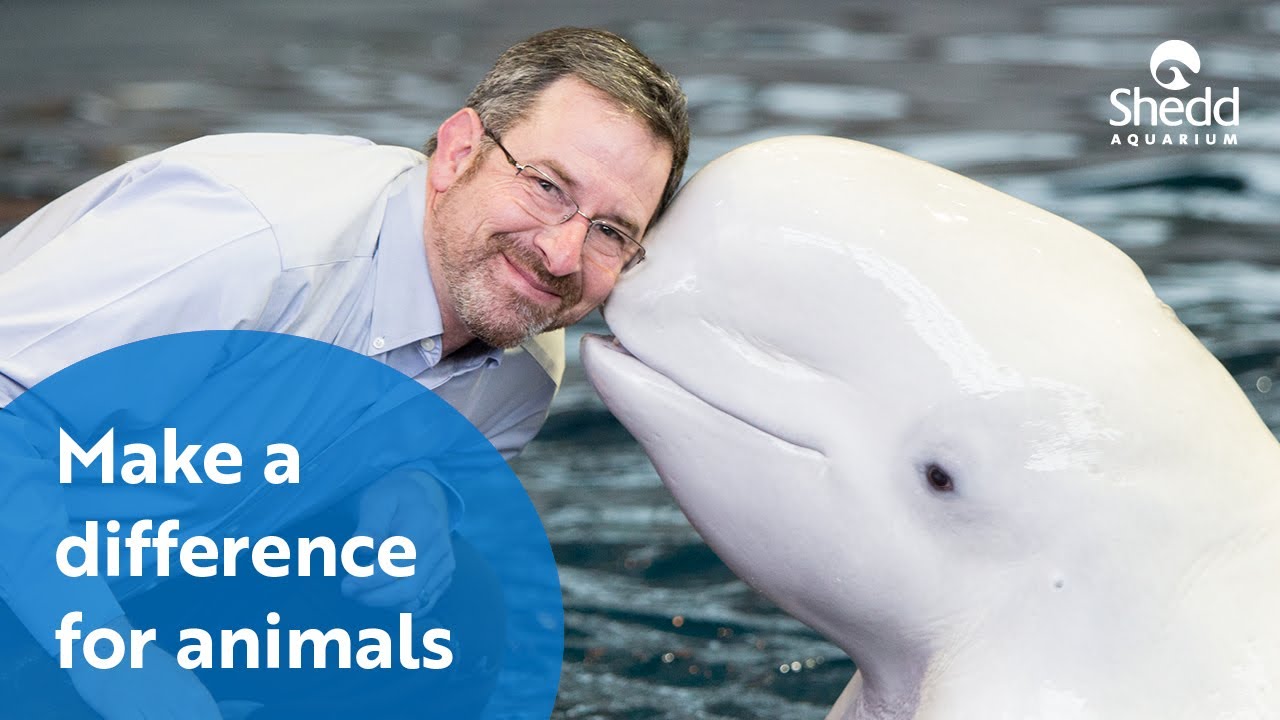 Make a Difference for Animals