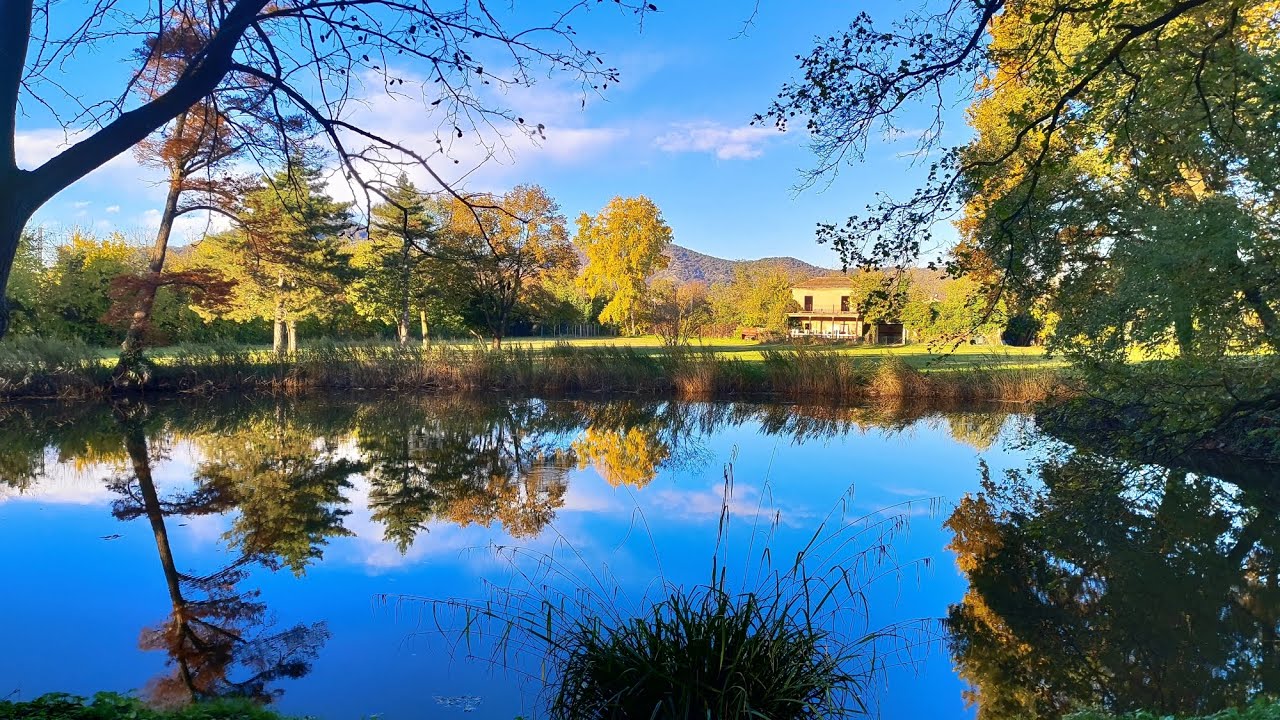 Villa Selvatico, terme e bollicine.