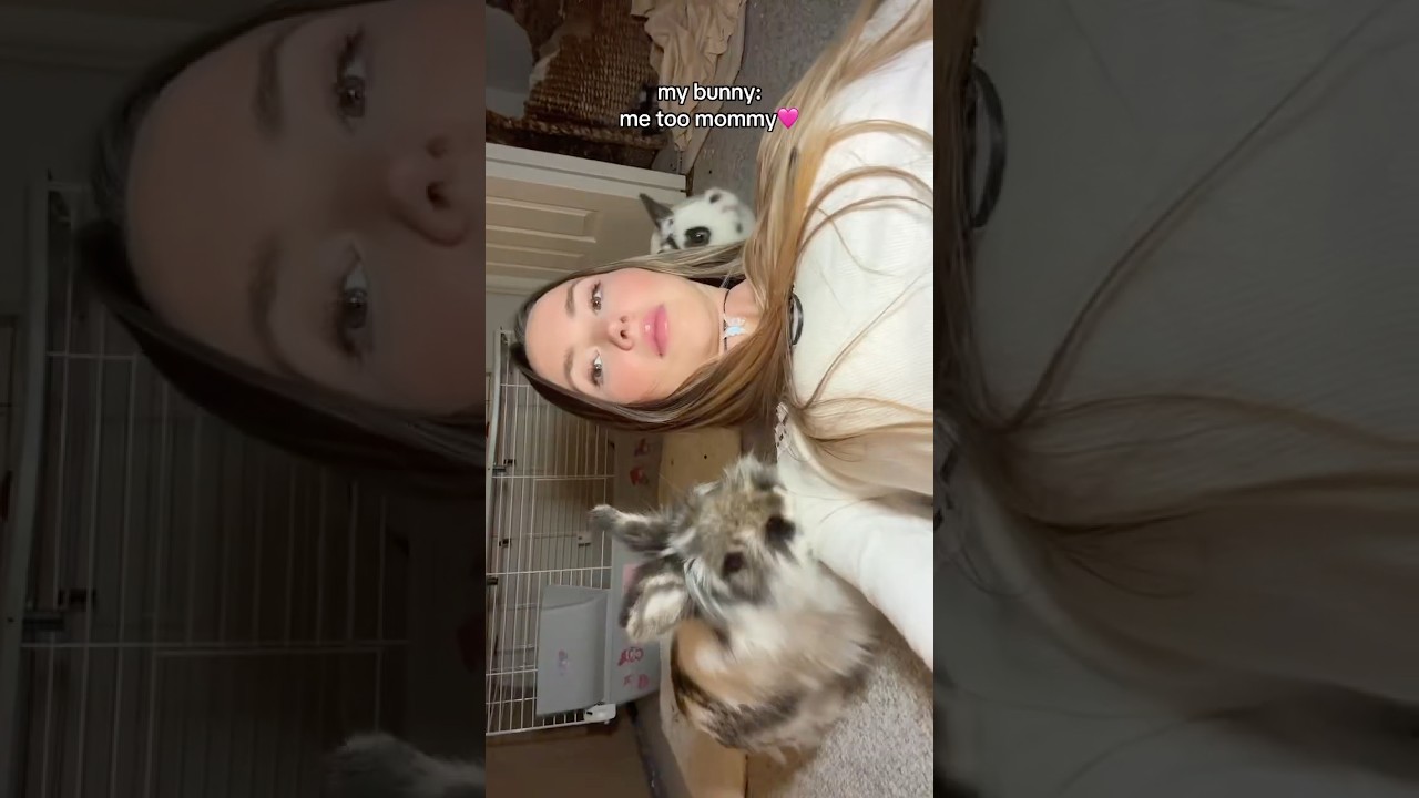 Мой кролик тоже по мне скучал💓