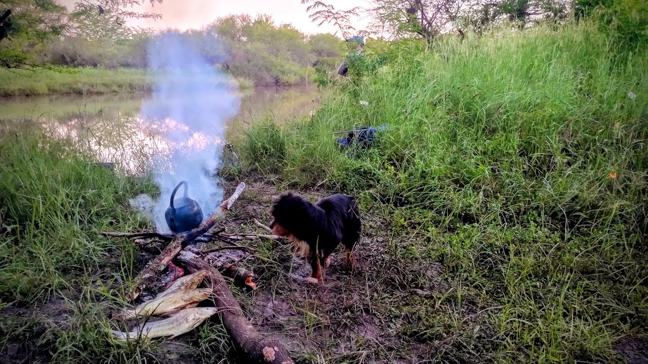 🔥🔥PESCA de BAGRES en el GUALEGUAY y TARAIRAS en un ARROYO CRECIDO