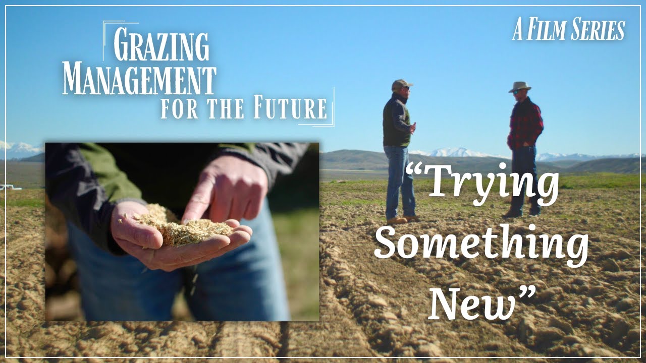 Grazing Management for the Future: “Trying Something New”