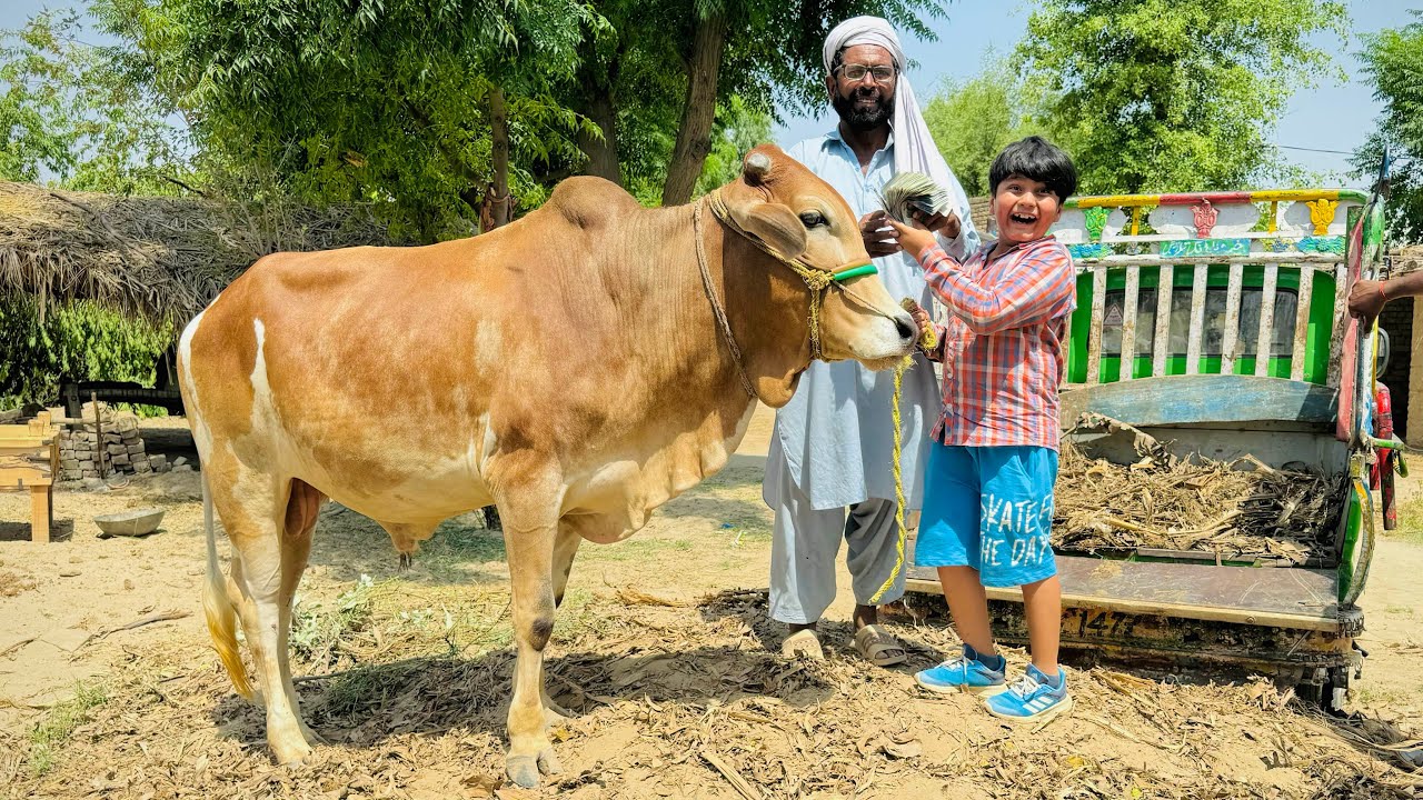 Finally ALHAMDULILLAH Qurbani ka Janwer le he leya 😱 || Ali bht kush ho gaya ❤️ ||