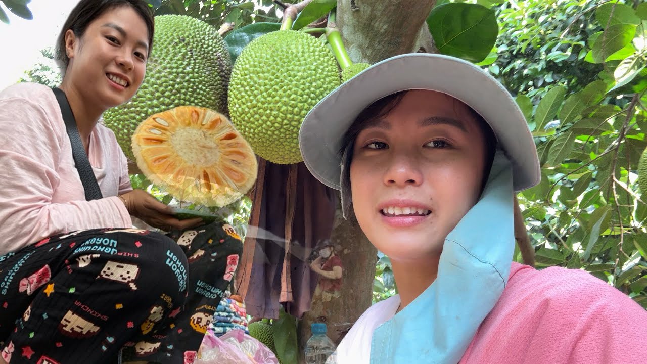 THU HOẠCH TRÁI CÂY MANG RA CHỢ BÁN RẺ CHO BÀ CON SAU TẾT | TNCM 
