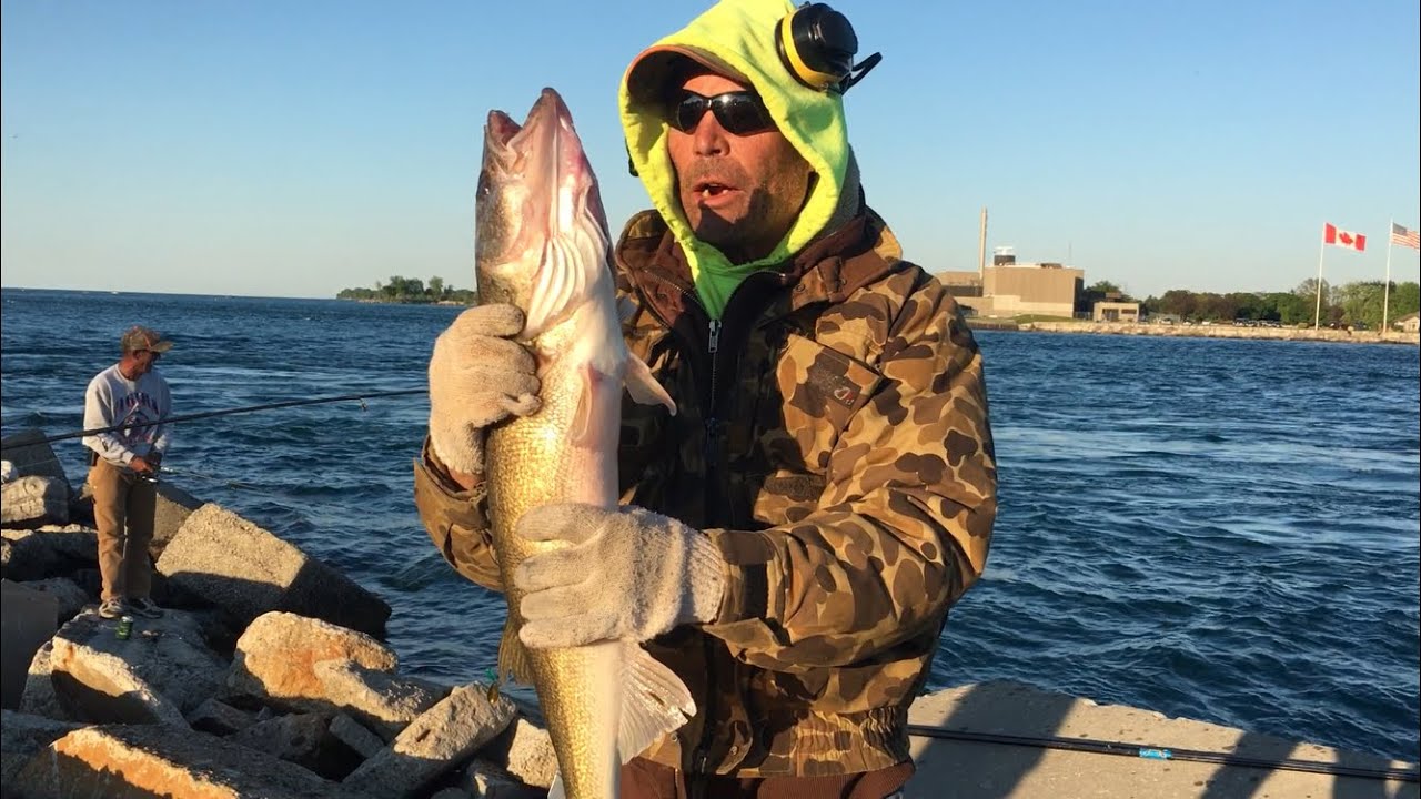 Как ловить судака с берега! Спиннинг MASTER ANGLER WALLEYE 31 Inchs Plus!