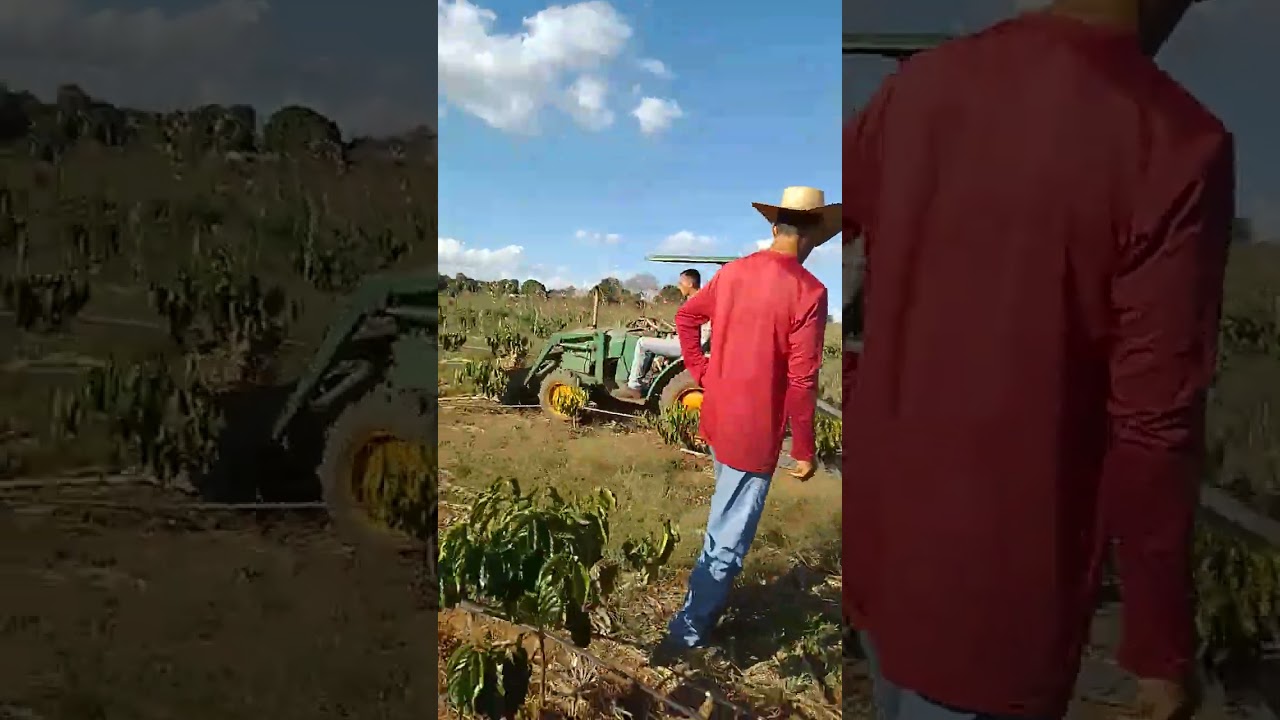 micro trator caseiro trabalhando com rosadeira