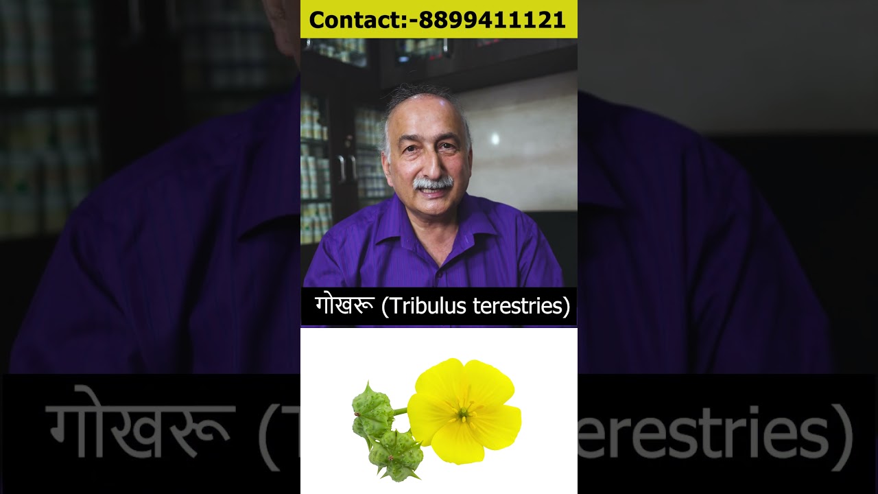 इस एक उपाय से होगी प्रोस्टेट की समस्या खत्म | Remedy for Prostate Problem | Prostate Enlargement