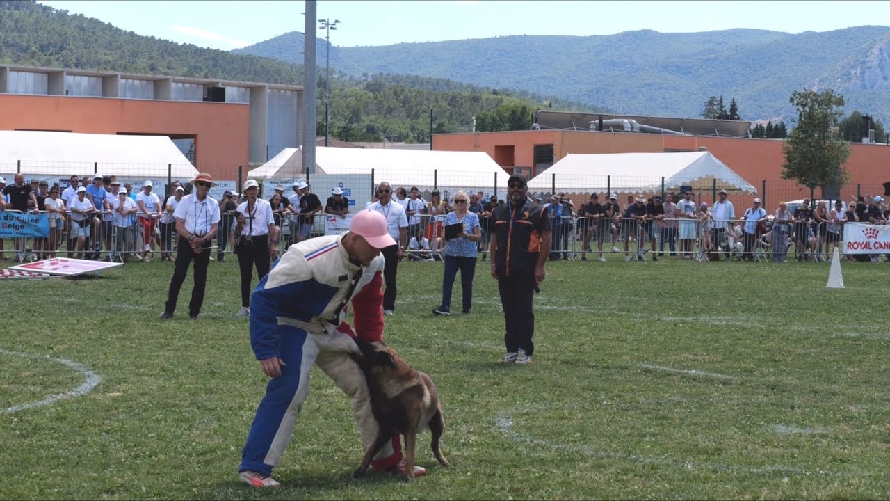 Finale Championat de France en Ring 2024     Winner