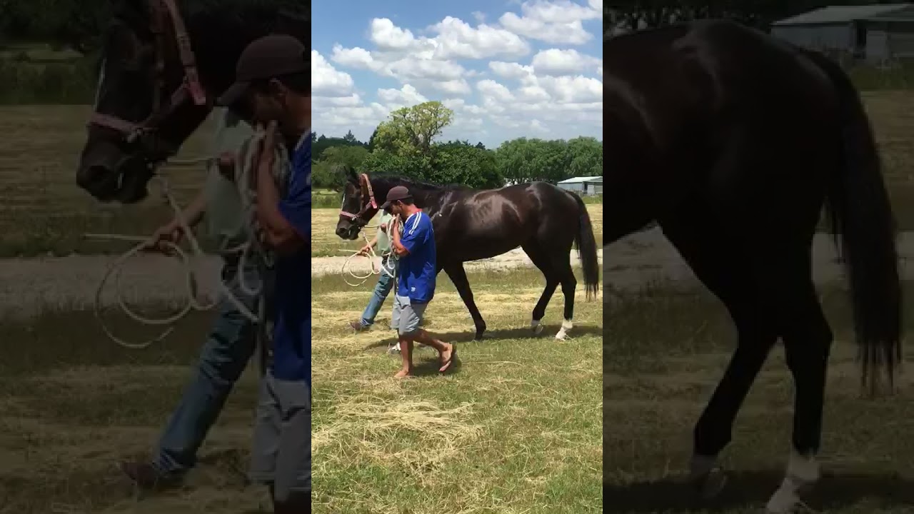 Mapa Mundi - Uruguai