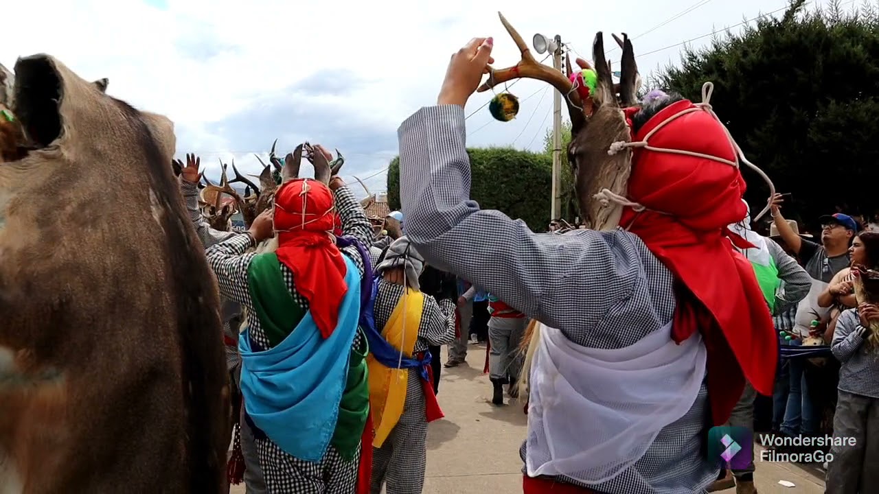 Danza de los Pukes Naranja 2021 💜💛💚💙🦌 