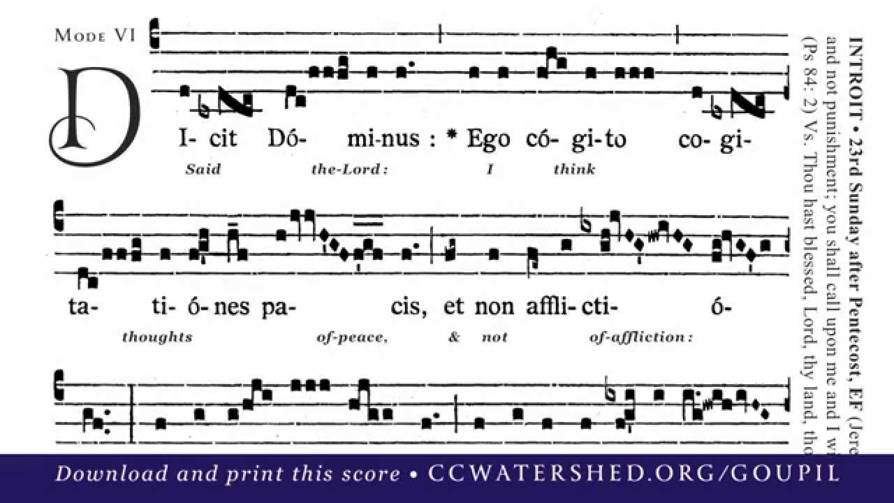 INTROIT • 23rd Sunday after Pentecost (“Dicit Dóminus”)