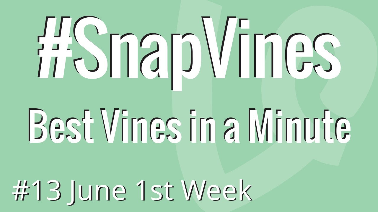 #SnapVines - Best Vines in a Minute - #13
