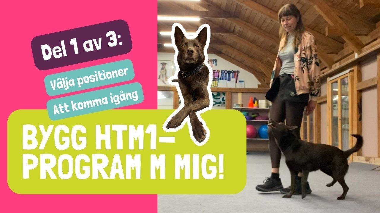 Heelwork to music klass 1 | Del 1 av 3