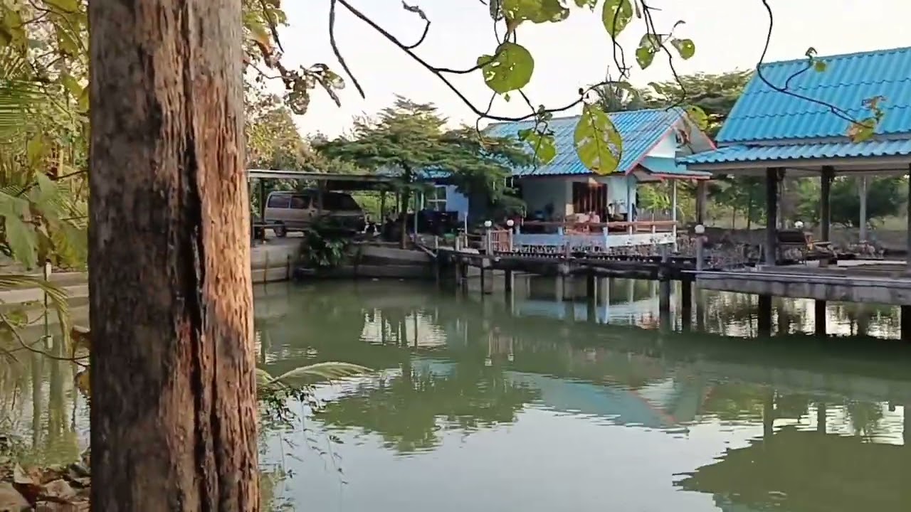 🏡บ้านสวนป่าแปลงใหญ่23-3-1ไร่🚩ต.หนองสาหร่าย อ.ดอนเจดีย์จ.สุพรรณบุรี(โฉนดครุฑแดง2ใบ)ขายยกแปลง9.8ลบ