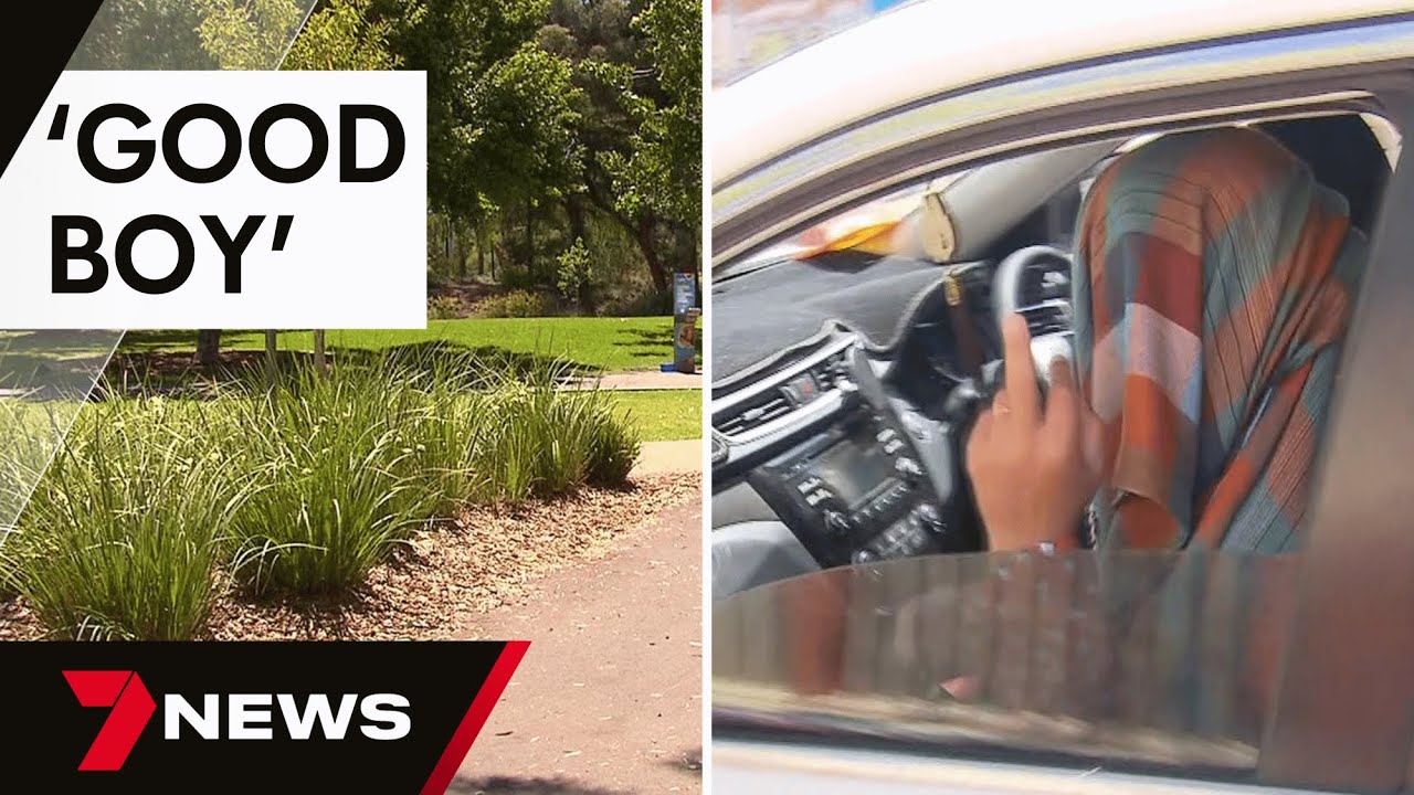 Youth accused of stabbing 12-year-old boy at Elizabeth Park granted bail again | 7 News Australia