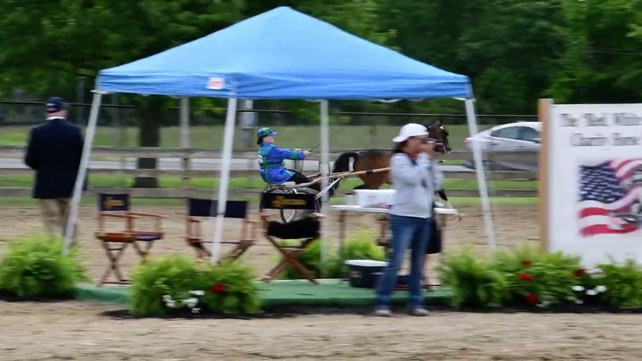 Brooke in Class 153 - Roadster Pony 52