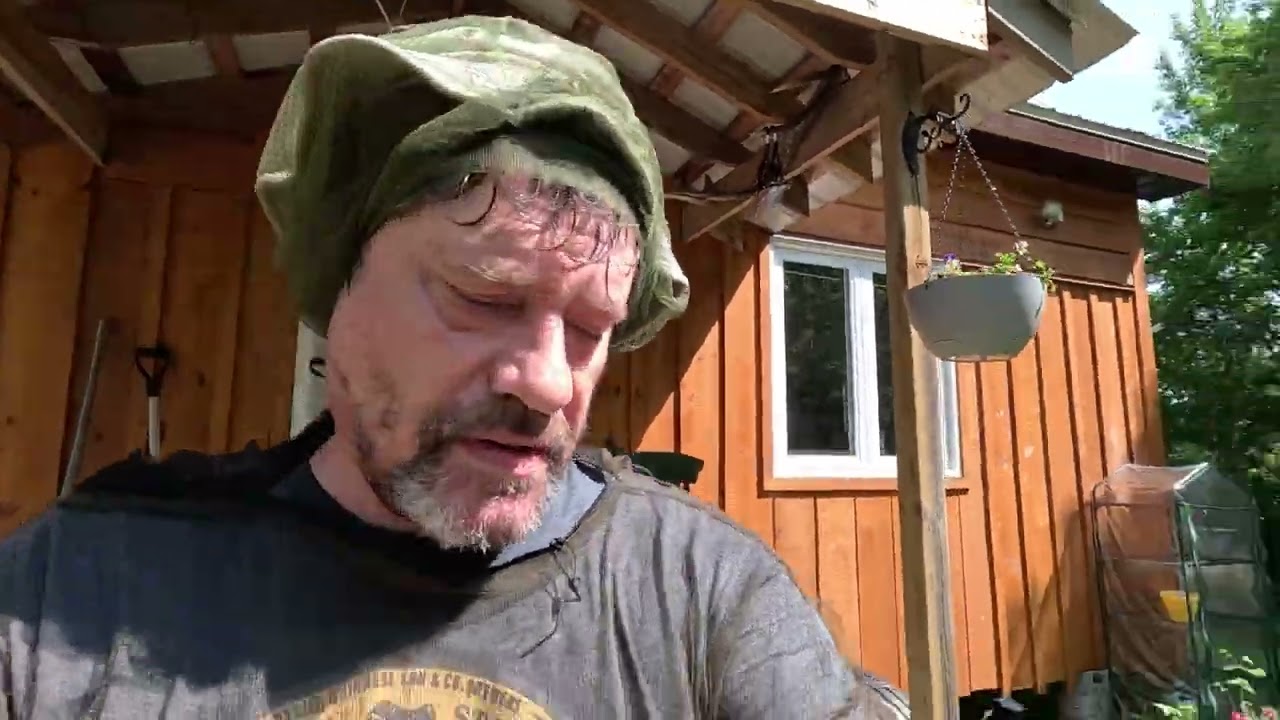 LIFE AT MY OFF GRID CABIN