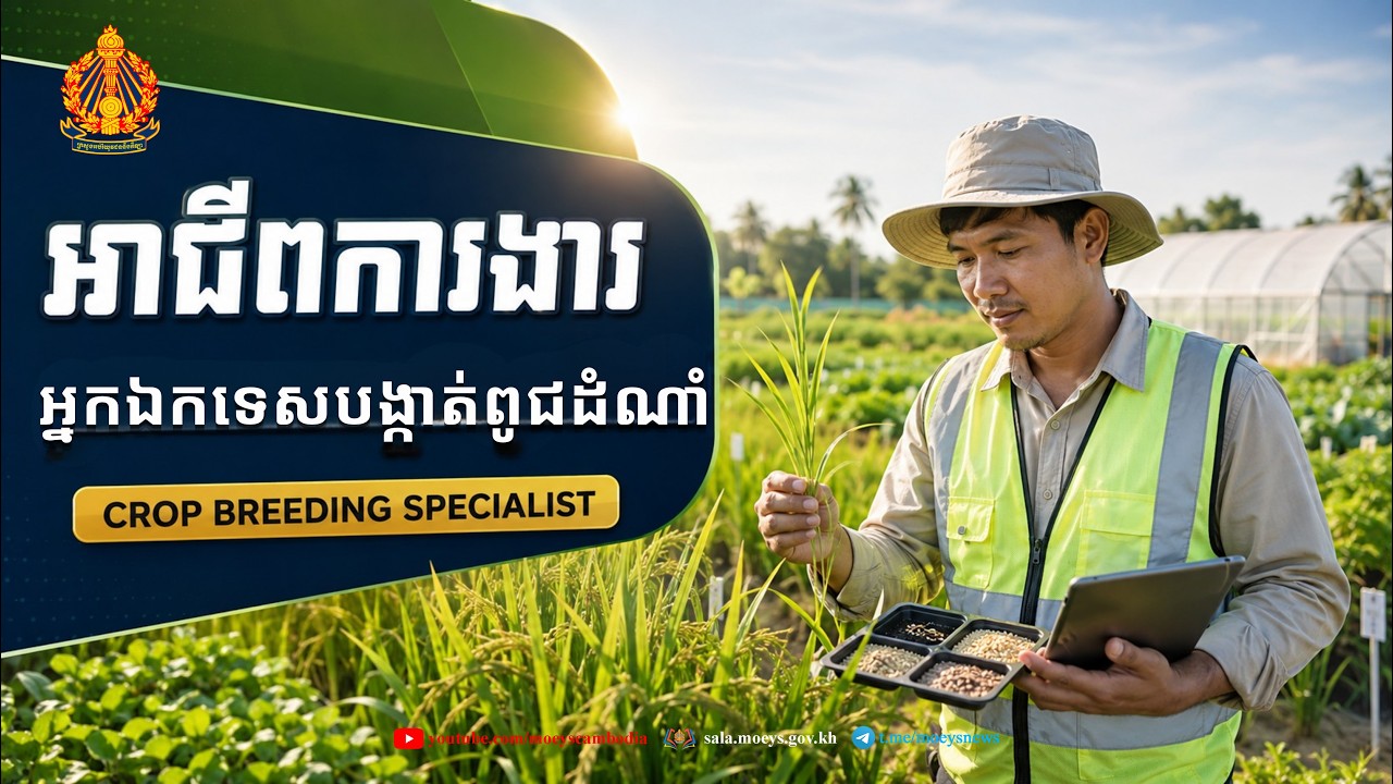 វីដេអូ​អាជីព​ការងារ​ស្ដី​ពី  