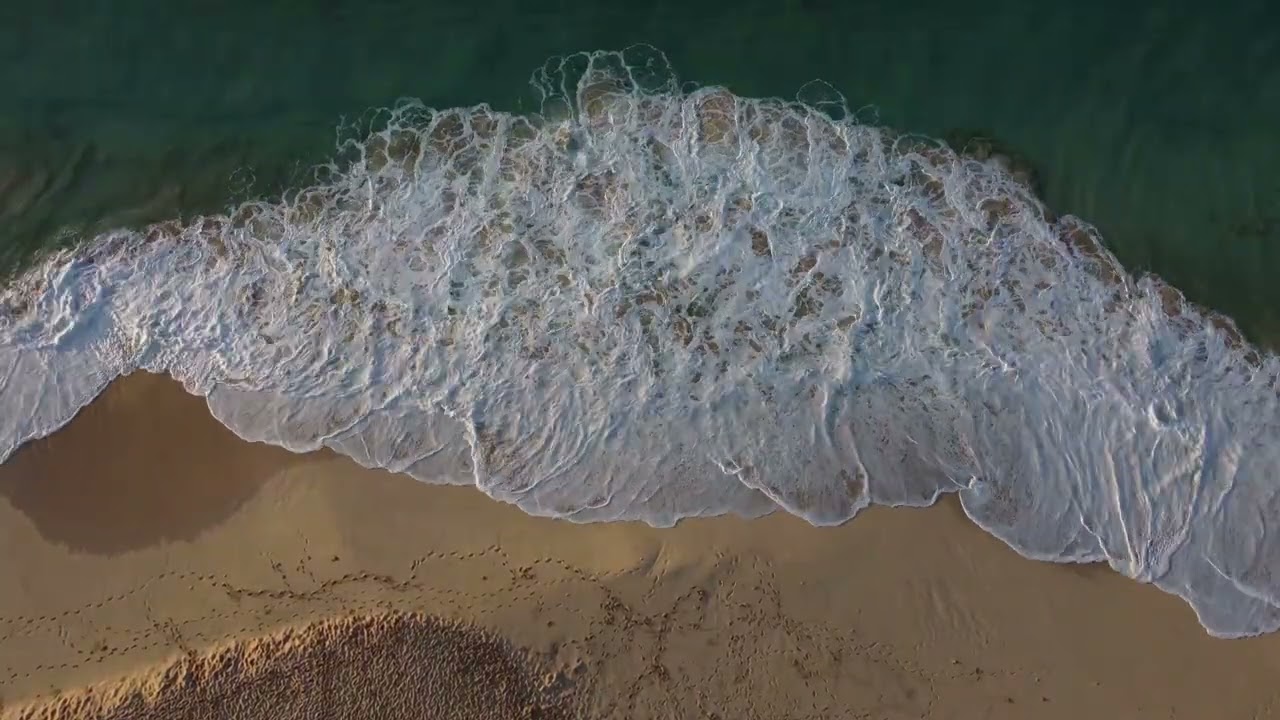 Ocean Waves & Seagulls Sounds 40 Minutes 🌊 Relaxing Sea Ambience for Sleep, Meditation & Insomnia