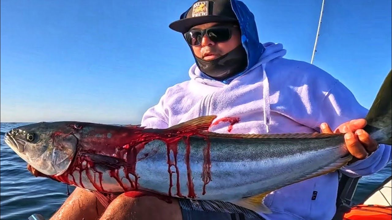 FISHING KAYAK LOS CABOS. GRAN PELEA DE JUREL