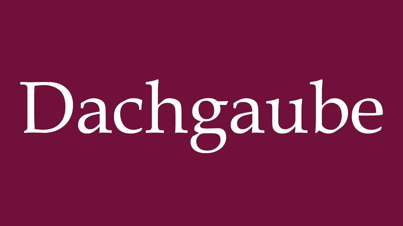 How to Pronounce ''Dachgaube'' (Dormer) Correctly in German