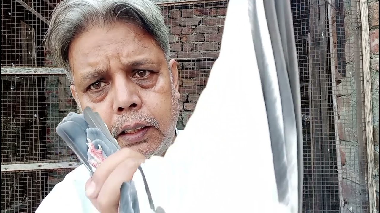 kabooter k paroon may vibration ho to? 12th October 2024