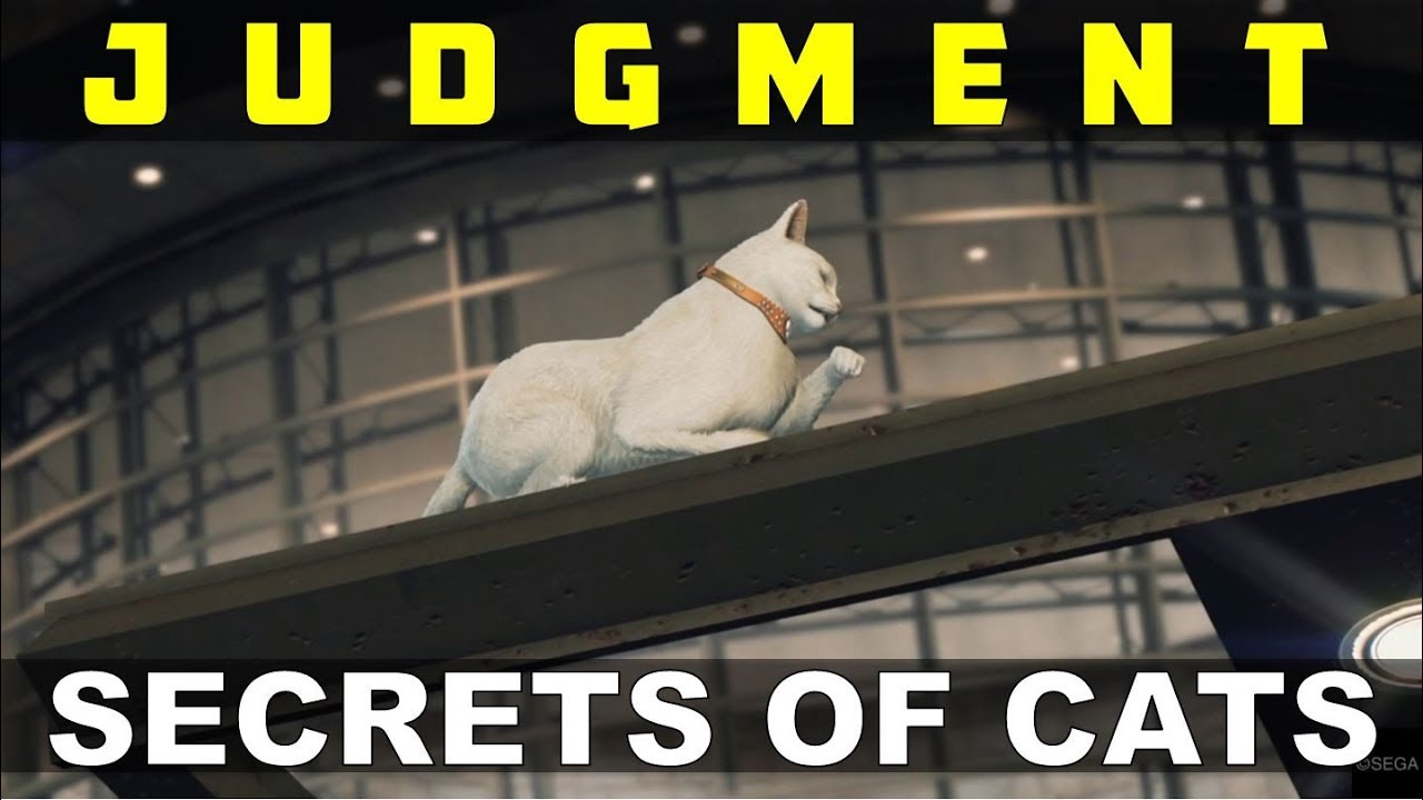 Side Case: Secrets of Cats | Judgment (Judge Eyes)