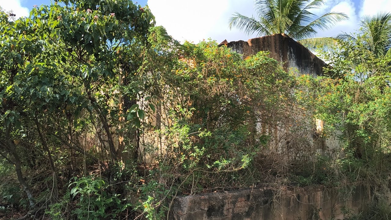 Uma casa onde o passado parece, está preservado, em suas paredes.  
