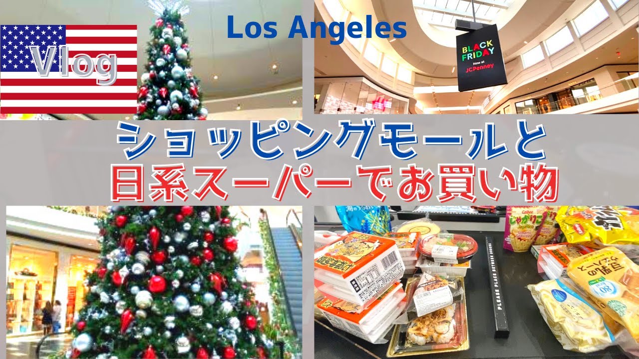ロサンゼルスのショッピングモールと日系スーパーでお買い物/サンクスギビング/ブラックフライデーの大セール/海外生活Vlog