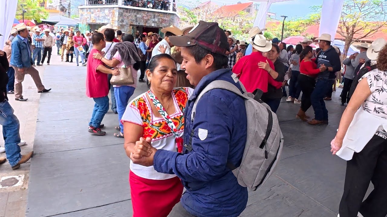 🔥 ¡LE DIMOS TODA LA VUELTA A LA TARIMA! Huapango en Xilitla que puso a todos a bailar 🇲🇽