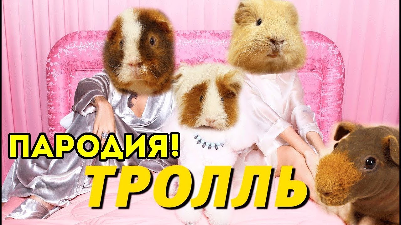Время и Стекло - Тролль / ПАРОДИЯ SvinkiShow