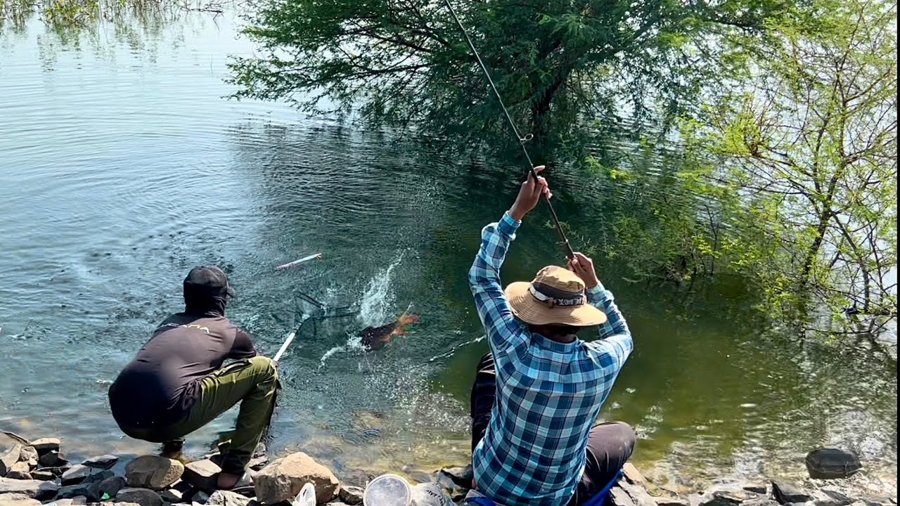 Best float fishing for Rohu fishes || single hook fishing