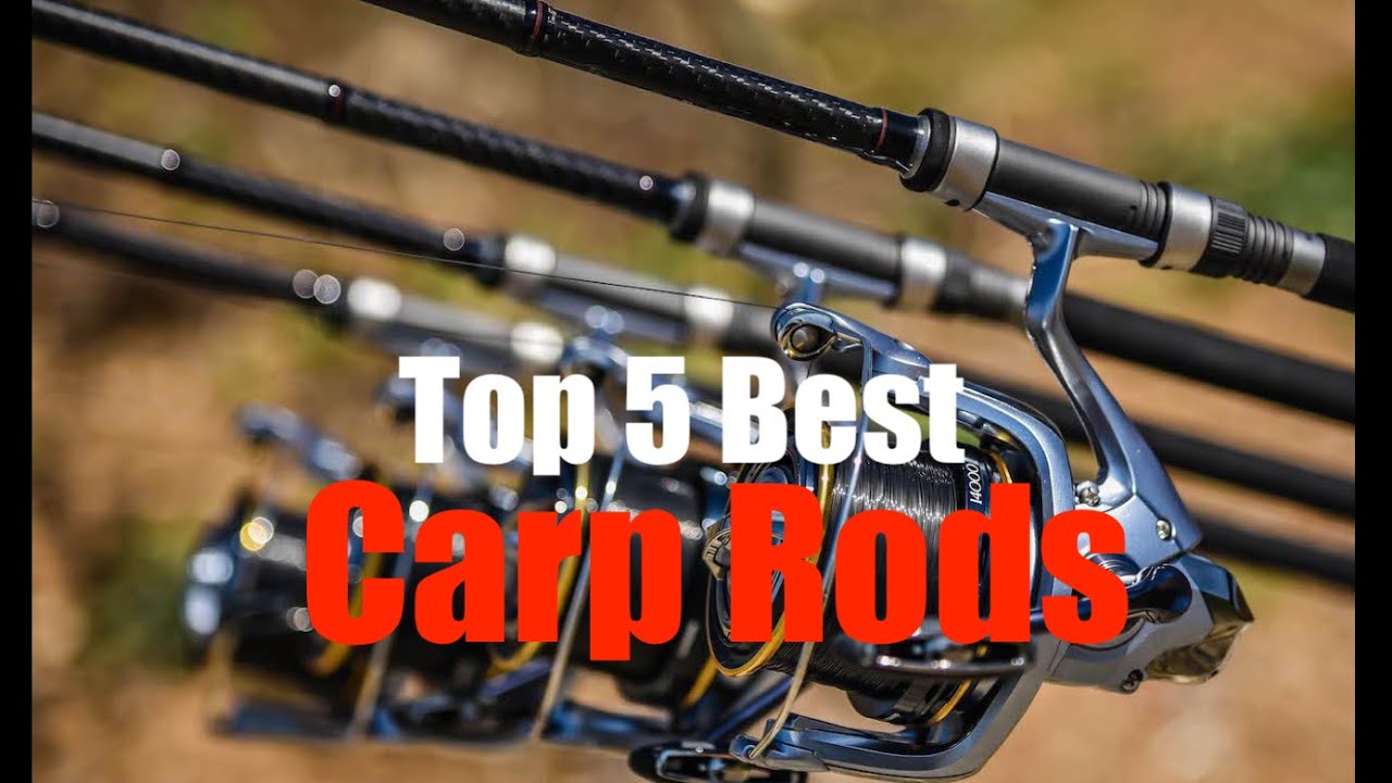 Top 5 Best Carp Rods ever