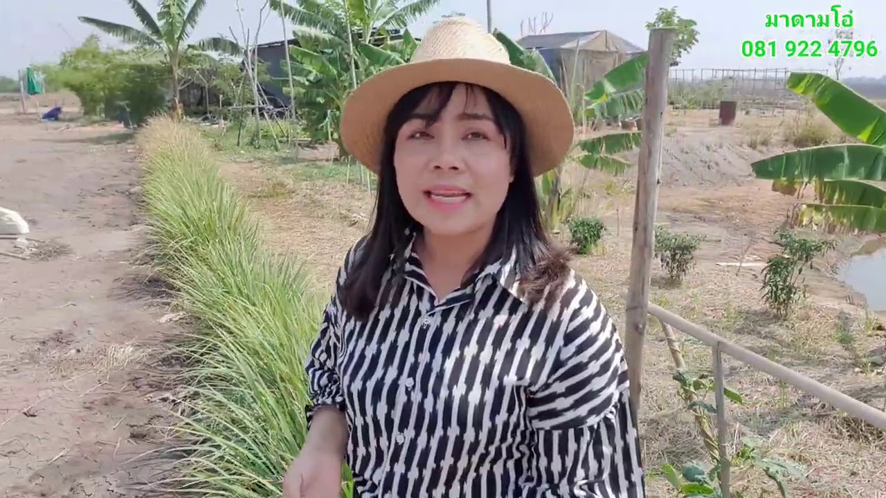 ราคานี้❗เหมือนขายทิ้งขายขว้างเลย #โคกหนองนาจริงๆ #ทำไว้ครบทุกเรื่อง เหลือแค่ให้คุณเข้ามาอยู่