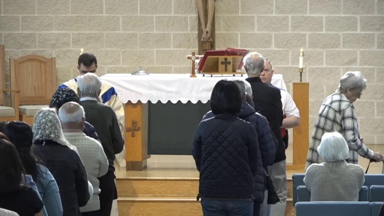 Daily Mass - February 11, 2026
