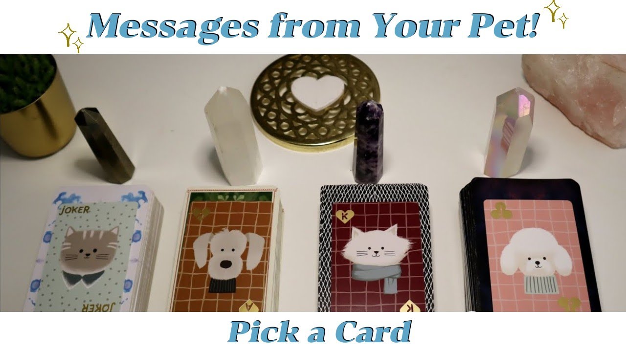 Messages from your Pet you might want to hear!  Pick a Card 🐾