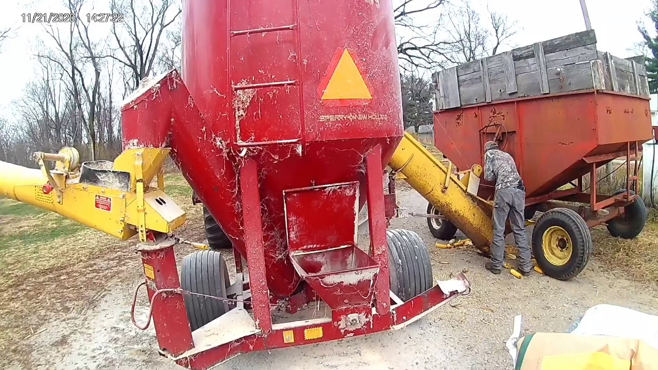 Grinding cattle feed from ear corn with the International 1486 and New Holland 354