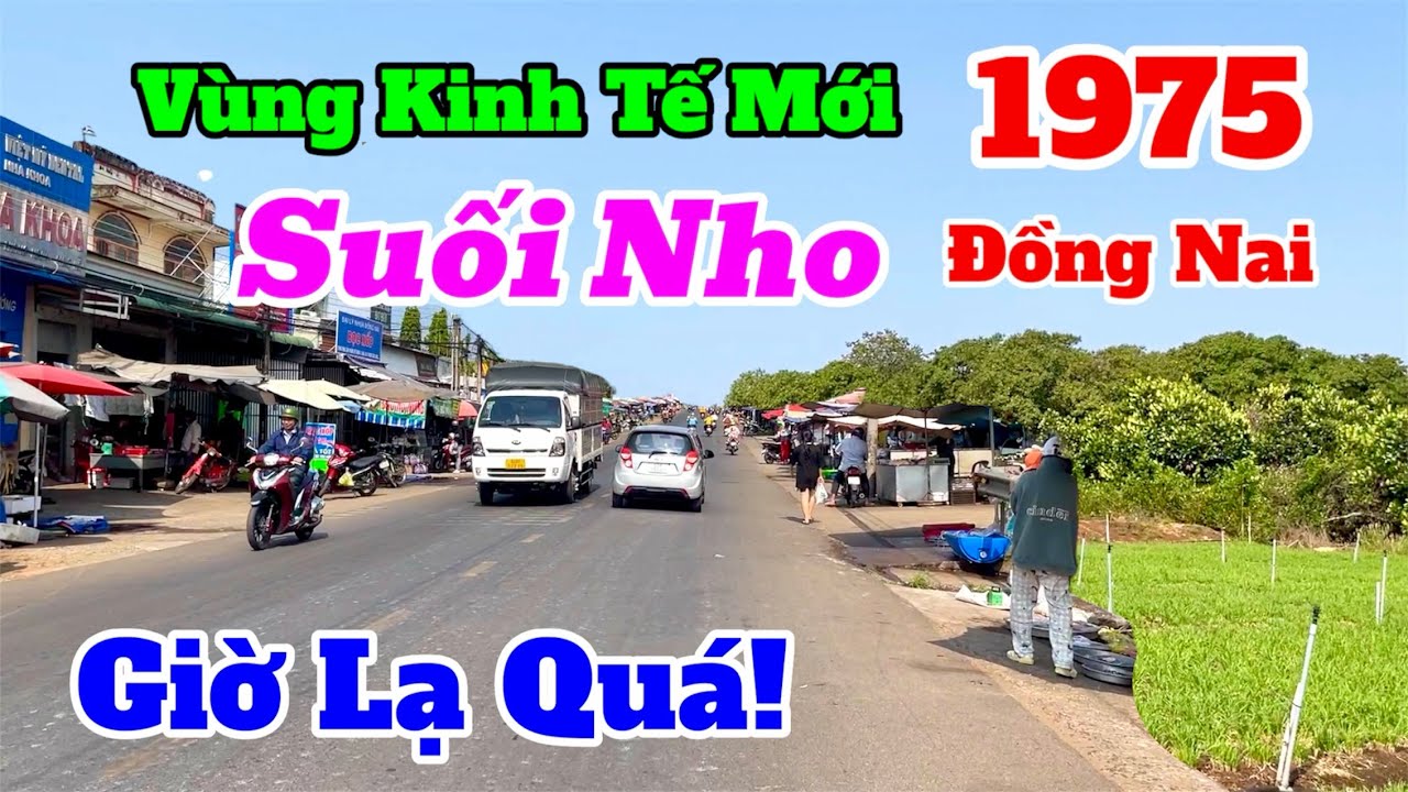 Vùng Kinh Tế Mới 1975 Suối Nho - Đồng Nai, Giờ Lạ Quá!