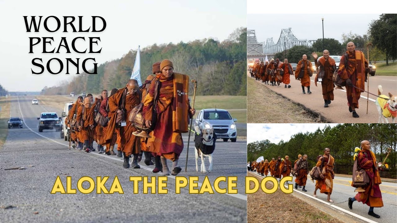 Aloka The Peace Dog & Buddhist Monks' Inspiring Journey  | World Peace Song | Heart Touching  Story
