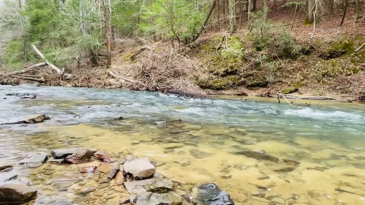 Relaxing stream inside the Bankhead National Forest 