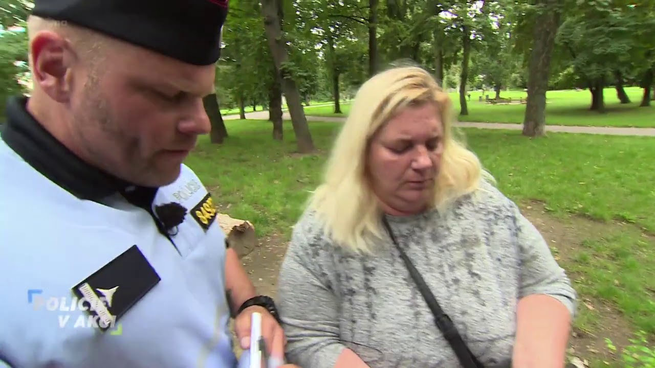 Policie v akci IV 64👇 odkaz na celý díl najdete v popisu videa👇