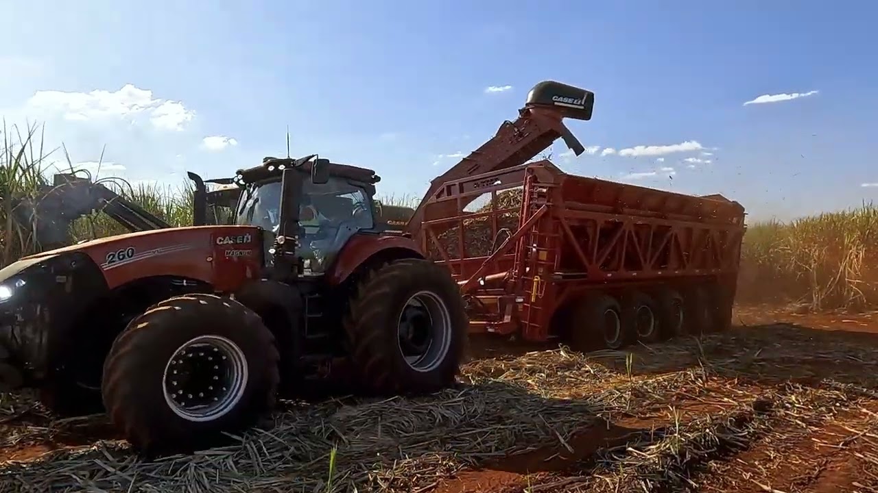 Transbordo de cana VTX 8032 e Trator Magnum 260 em opera&ccedil;&atilde;o na colheita de cana