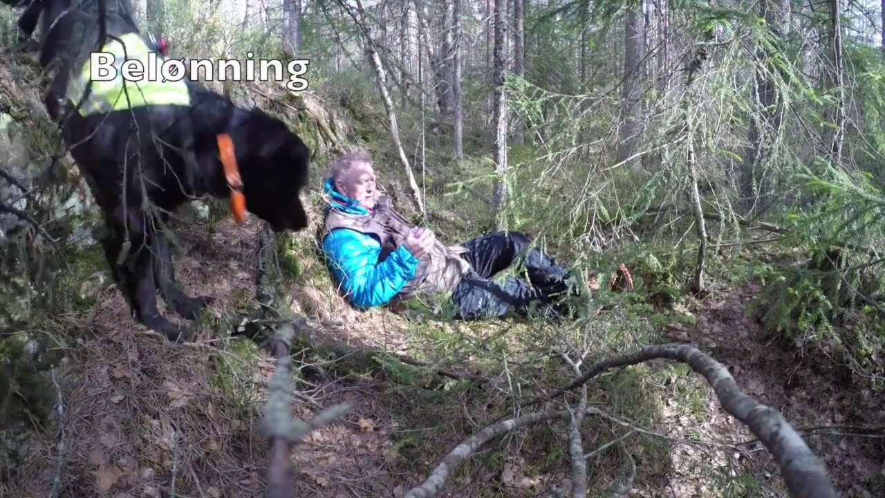 Rundering med fastbitt
