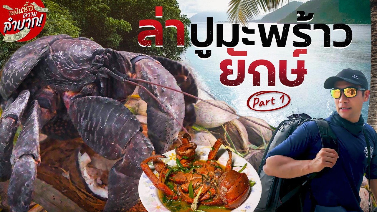 ตามล่าปูมะพร้าวยักษ์ Giant Coconut crab!ตำนานไคจูชายฝั่งกินเนื้อมนุษย์?![ใช้เงินซื้อความลำบาก EP.14]