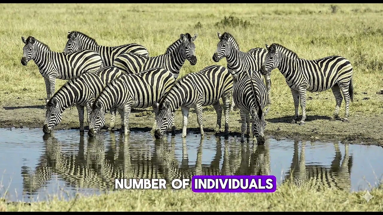 &ldquo;Basic Ecological Concepts Explained | Key Ecology Terms for Beginners&rdquo; 