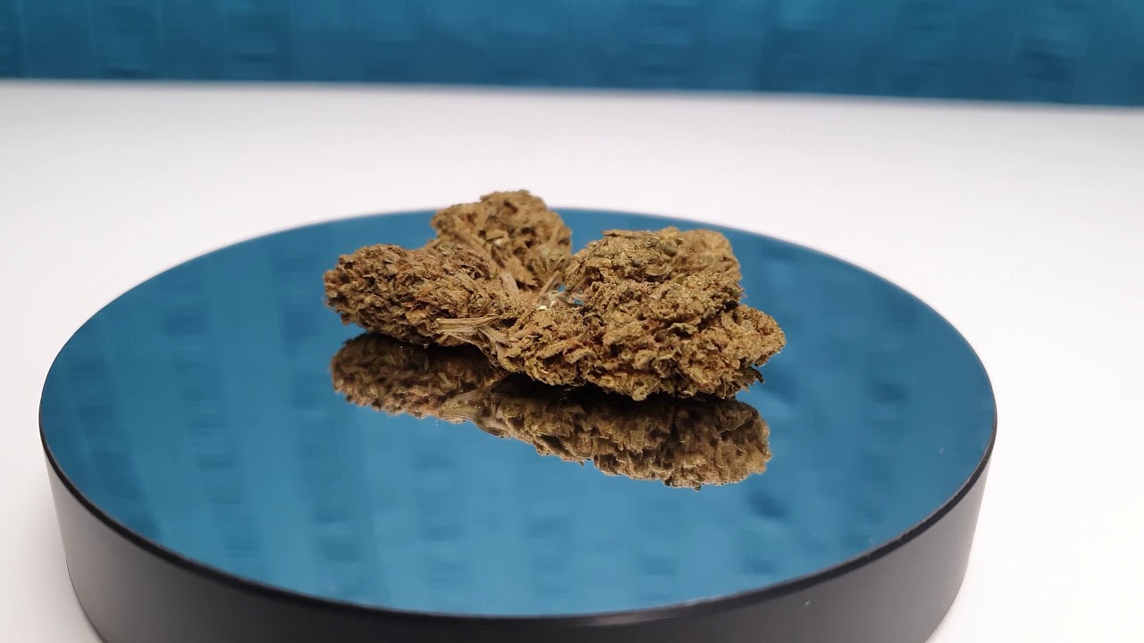 Get Hemp - Blue Gelato CBD Flower Showcase