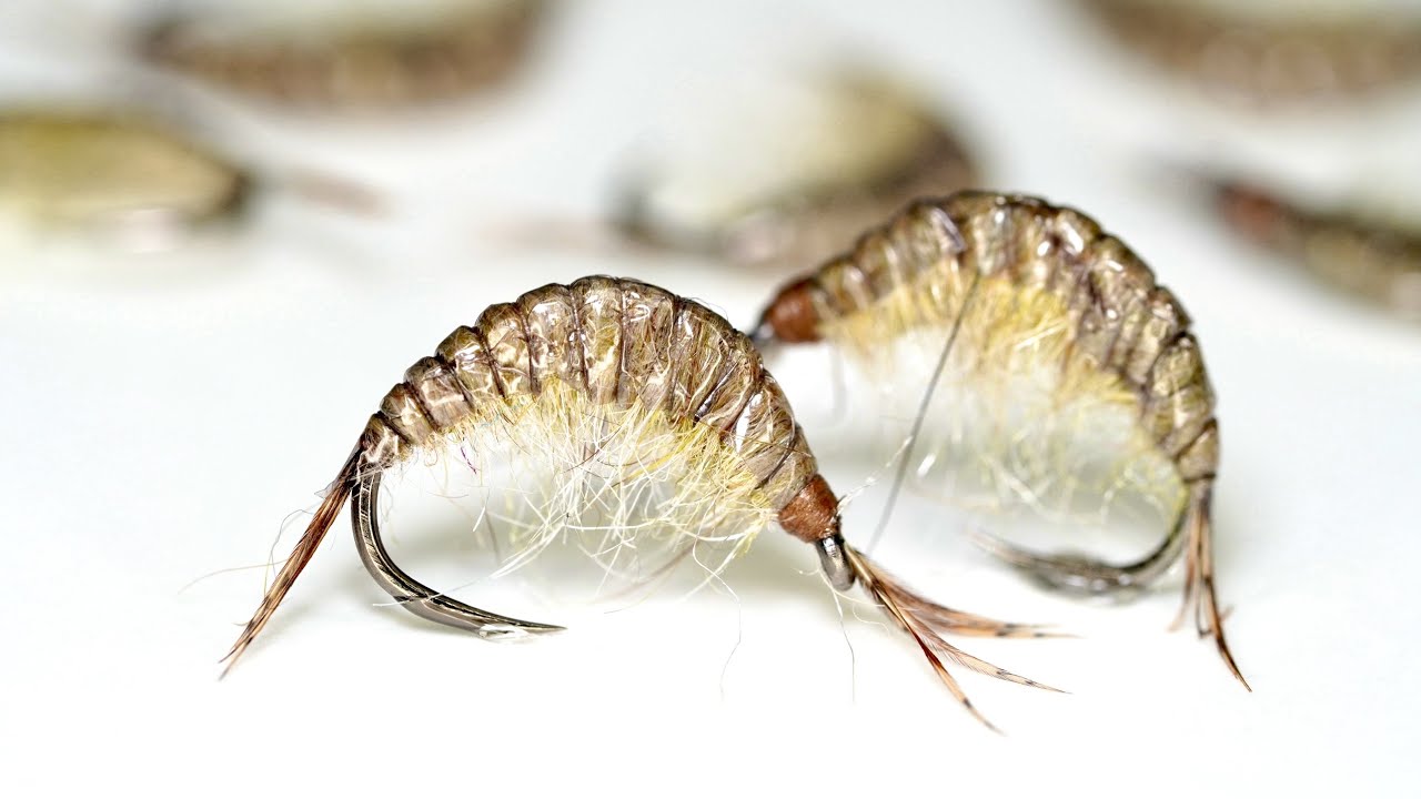kiełż | scud | Fly-Tying