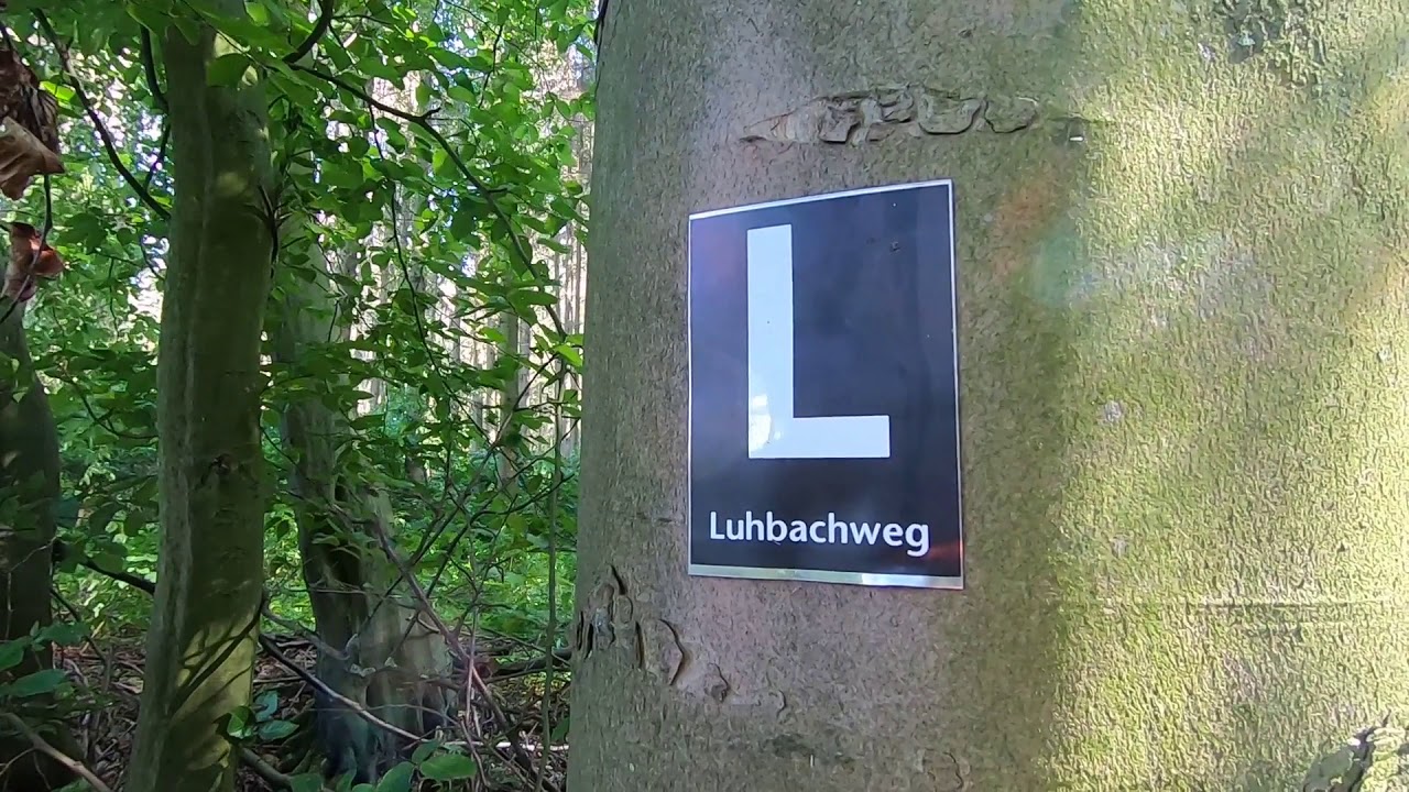 Kalletal Lipperland Luhbachweg Wanderung