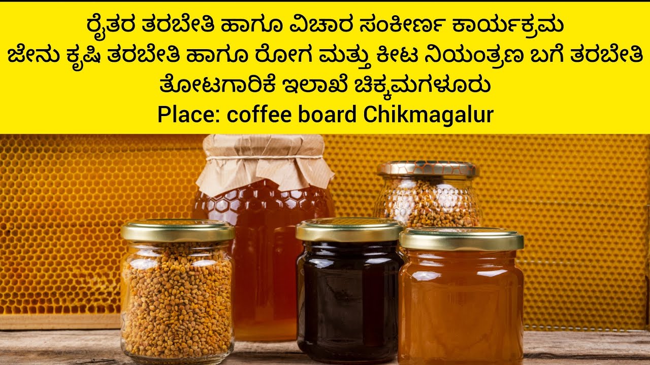 Bee 🐝 Farming Training | pest and disease control training